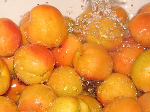 apricots3