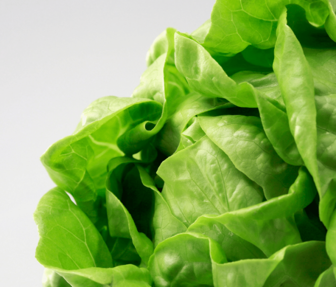 Gluten Free, Vegan Chile-Roasted Tofu Lettuce Wraps Recipe