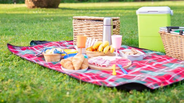 Picnic Food