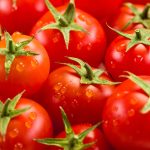 Tomato Recipes