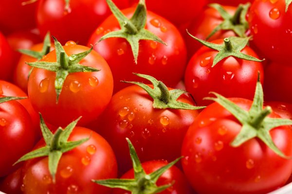 Tomato Recipes