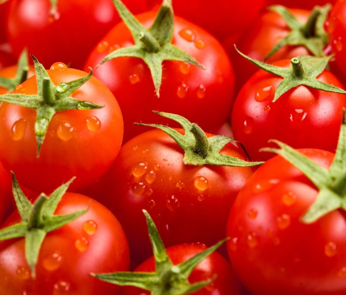 Tomato Recipes